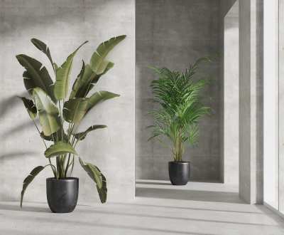 盆栽3D模型下载